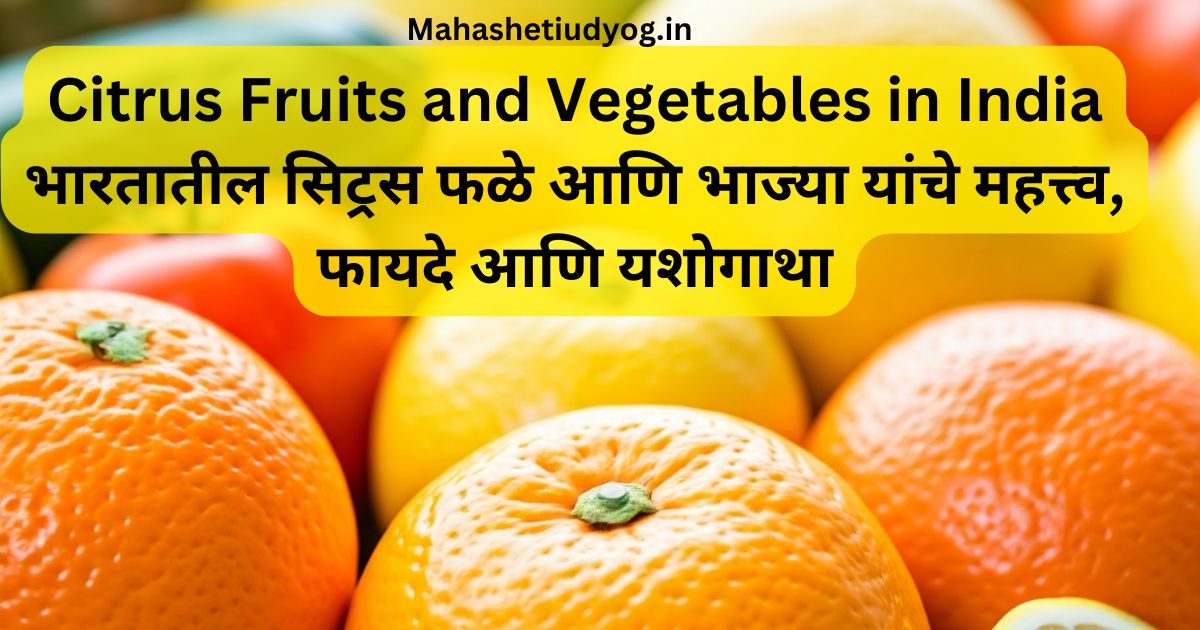 Citrus Fruits and Vegetables in India भारतातील सिट्रस फळे आणि भाज्या : महत्त्व, फायदे आणि यशोगाथा