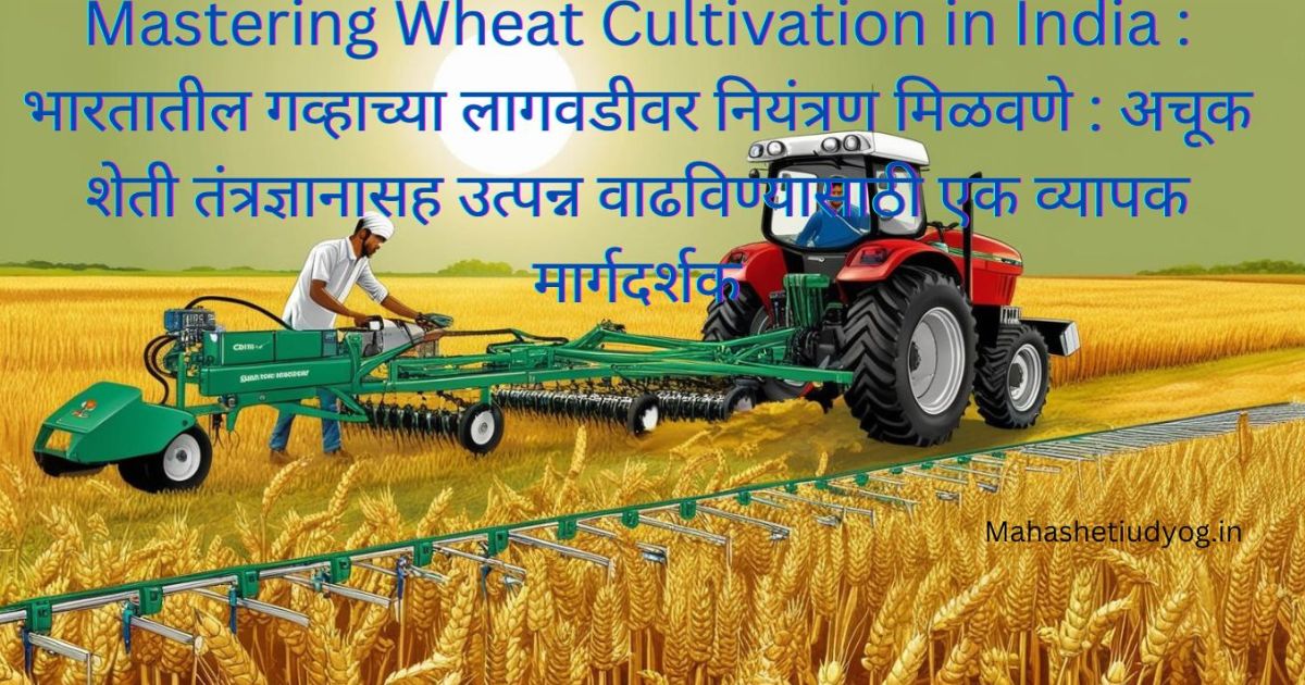 Mastering Wheat Cultivation in India